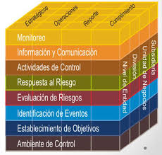 CURSO ESPECIAL DE CONTROL GERENCIAL PARA EMPRESAS Y USO DE MALLA DE CONTROL GERENCIAL CORPORATIVO